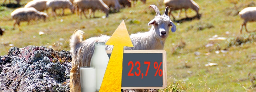 El precio de la leche de cabra sube un 23,7% durante 2019