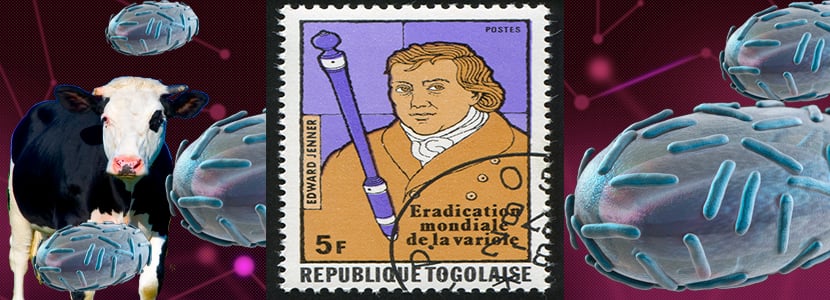 Edward Jenner y la primera vacuna: vacas, viruela y poxvirus