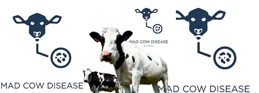 Origen de la encefalopatía espongiforme bovina