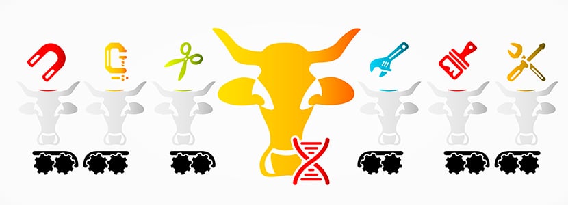 Alteraciones genéticas que afectan al ganado bovino