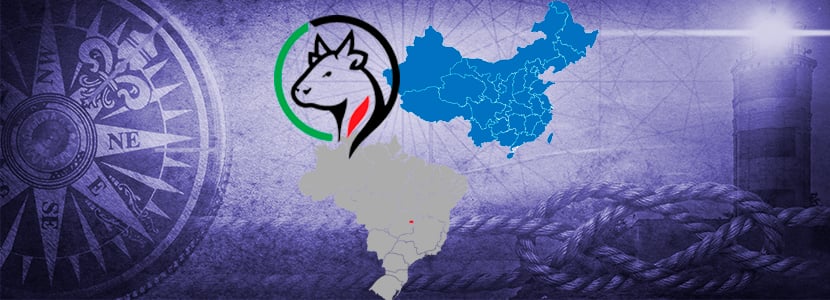 Récord de exportación de carne de vacuno en Brasil