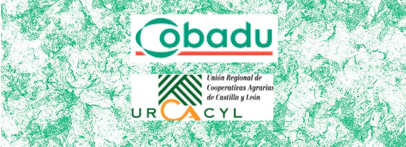 VIII Jornada de Comercialización de producciones ganaderas