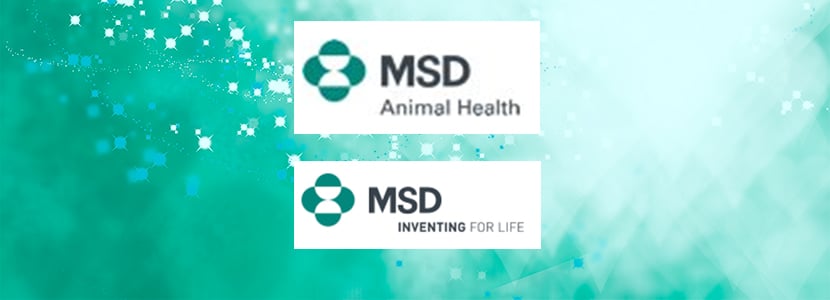 Comienza el Congreso Virtual en Vacunas 2020 de MSD