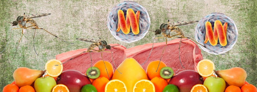 Zoonosis y enfermedades de transmisión alimentaria