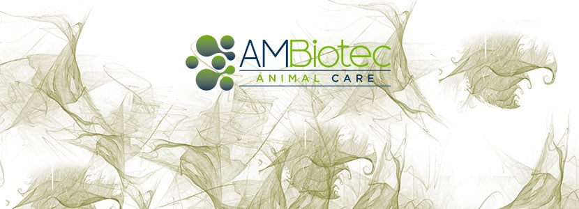 AMBiotec renueva su imagen corporativa en un año con grandes objetivos