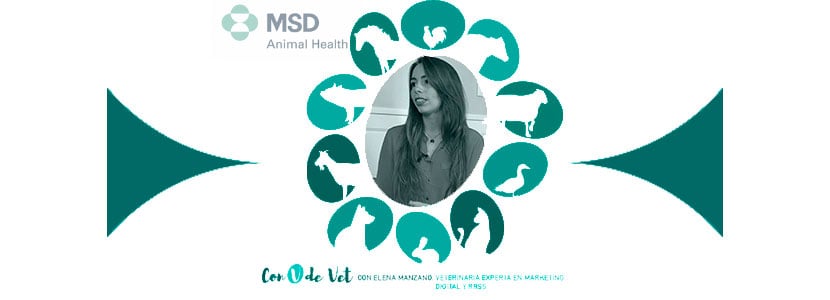 El veterinario debe estar presente en el mundo digital como referente informativo