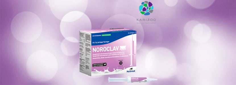 Laboratorios Karizoo lanza Noroclav® LC para el tratamiento de mastitis