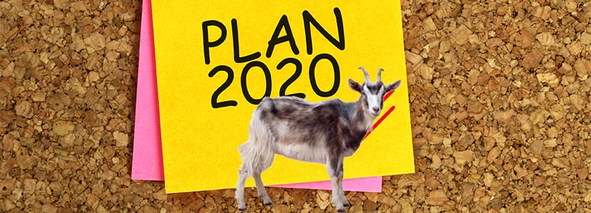 Plan Zoosanitario 2020 en la Comunidad Valenciana
