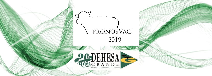 Dehesa Grande acoge el encuentro anual 2020 de vacuno de carne