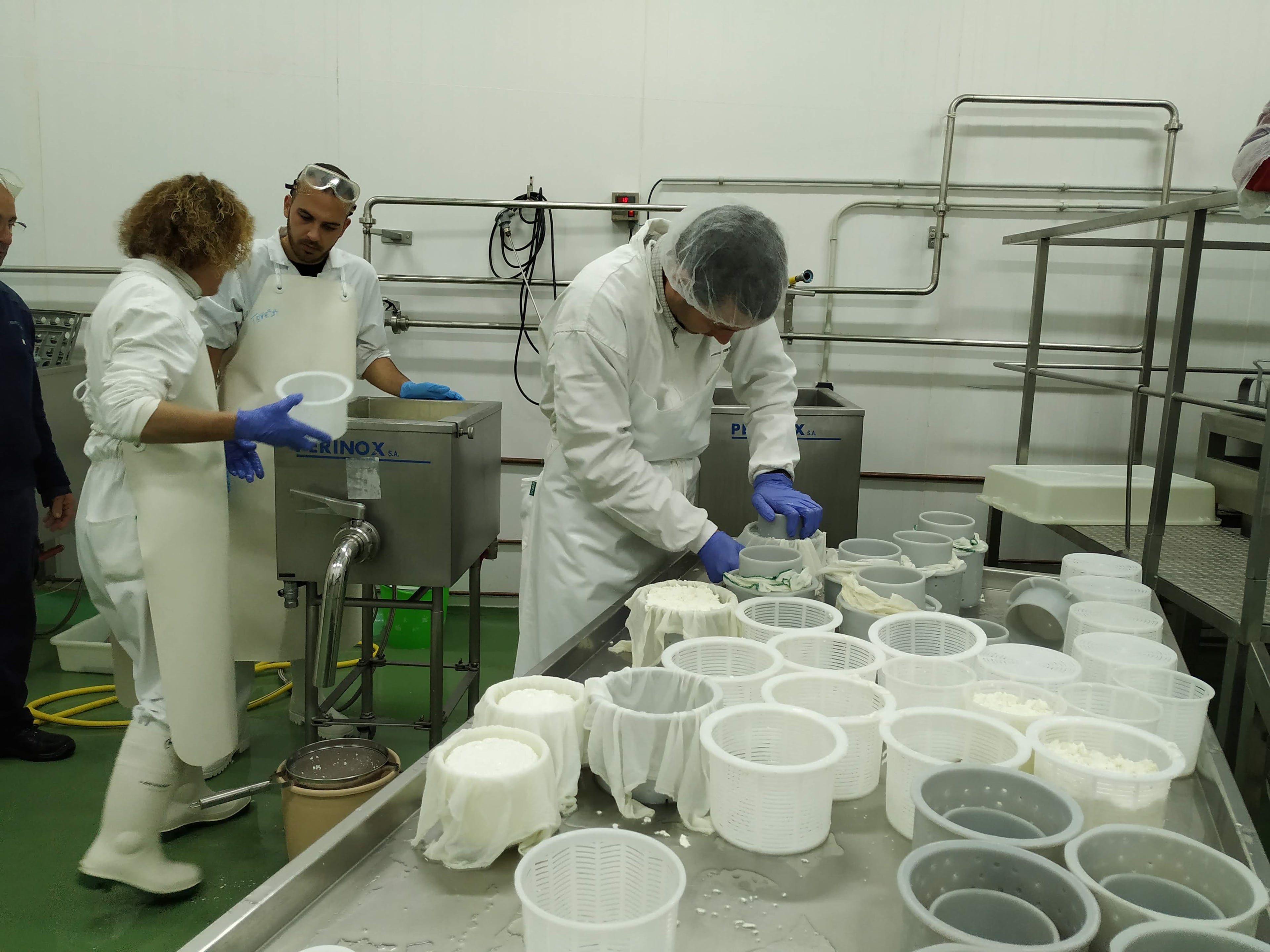 Seguridad alimentaria en los productos lácteos tradicionales