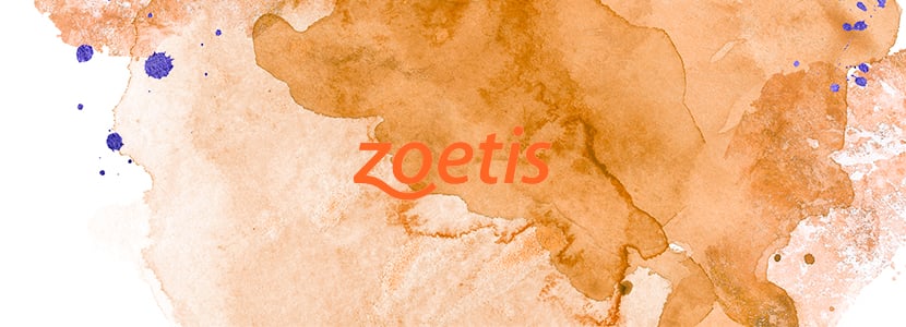 Zoetis dona más de 83 000 raciones de ovino y cochinillo a comedores