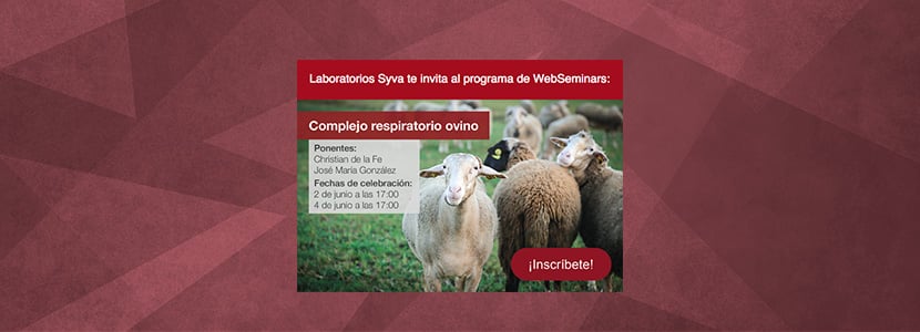 Laboratorios Syva te invita al programa de WebSeminars: Complejo respiratorio ovino