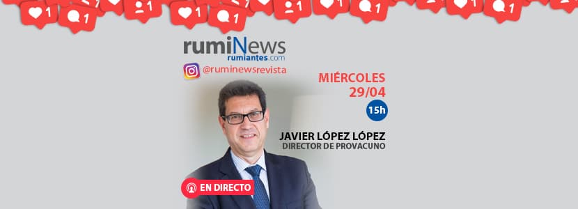 Entrevista a Javier López, Director de PROVACUNO