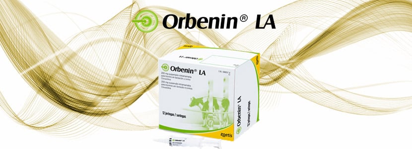 Orbenin® LA: una opción responsable para tratar las mamitis por Gram+
