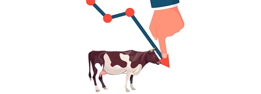Leche Celta baja el precio de la leche a los ganaderos