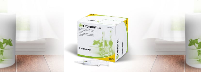 Terapia de primera elección en el tratamiento de mamitis por GRAM +