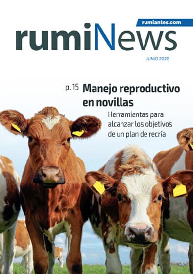 Revista rumiNews Junio 2020