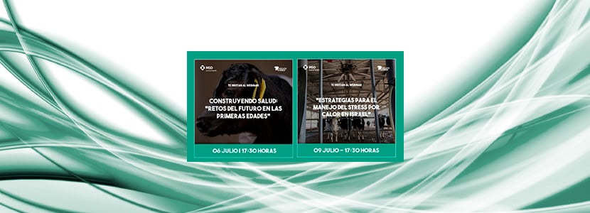 MSD ANIMAL HEALTH TE INVITA A LOS WEBINARS SOBRE RECRÍA Y MANEJO DEL ESTRÉS