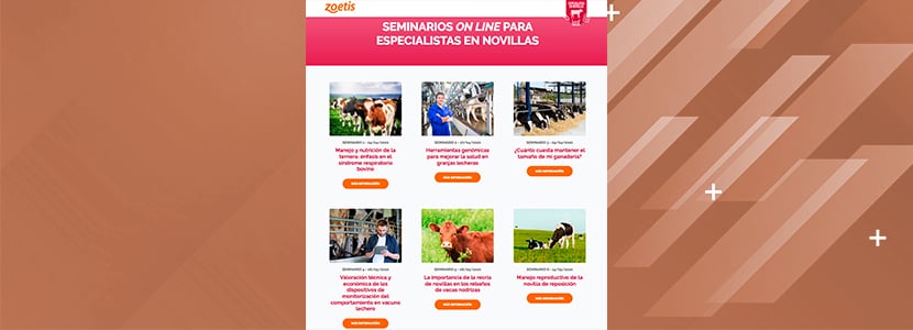 Zoetis continuará los Seminarios online para Especialistas en novillas en septiembre