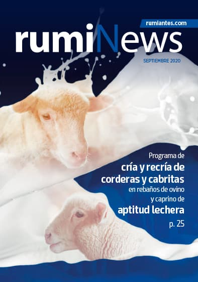 Revista rumiNews septiembre 2020