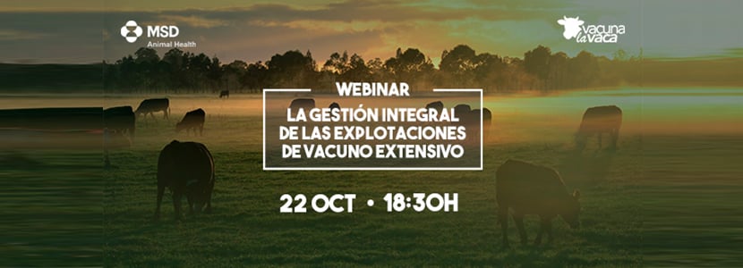 Gestión integral de explotaciones de vacuno - 1º webinar de la serie Rumiando los jueves