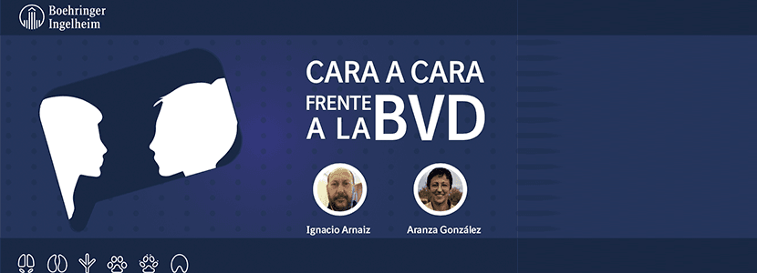 Boehringer Ingelheim te invita al “Cara a cara frente a la BVD”