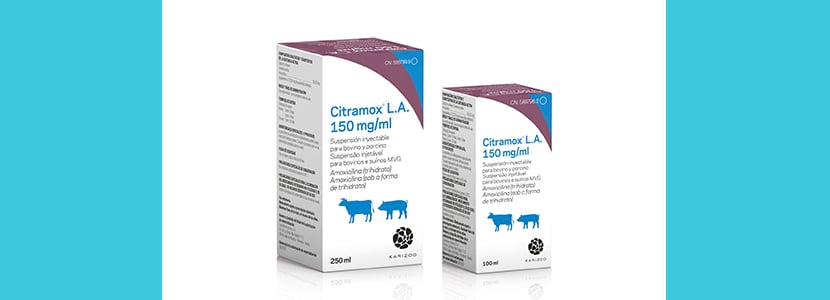 Laboratorios Karizoo lanza al mercado nacional e internacional CitramoxLA 150 mg/ml