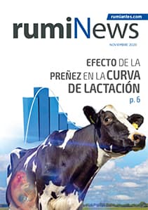 Revista rumiNews noviembre 2020