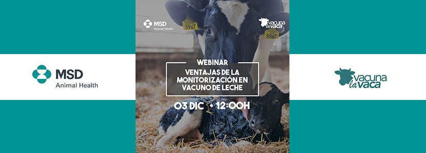 Ventajas de la monitorización en vacuno de leche-Último webinar de Rumiando los jueves
