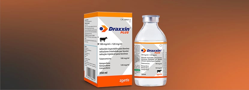 Draxxin Plus, nueva combinación para el tratamiento de la enfermedad respiratoria bovina
