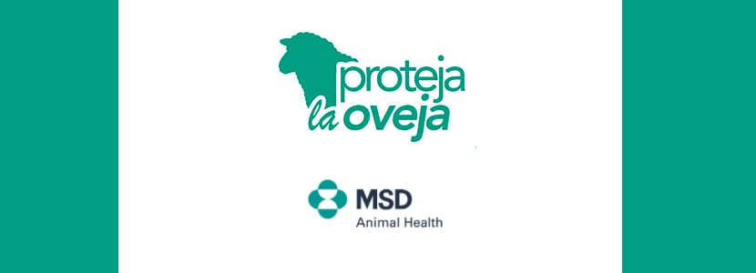“Proteja la Oveja”: punto de encuentro para profesionales de los pequeños rumiantes