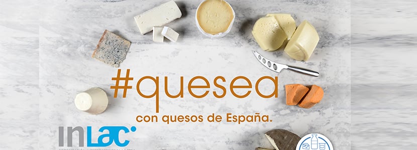 ¿Cómo maridar tus quesos de origen nacional estas Navidades?