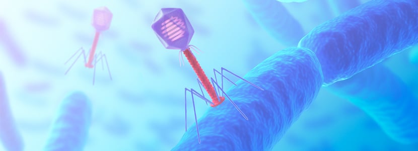 Cócteles de bacteriófagos para el control de poblaciones bacterianas