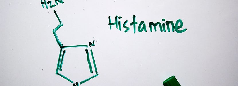 Cambios en el calibre de los vasos: vasodilatación y vasoconstricción