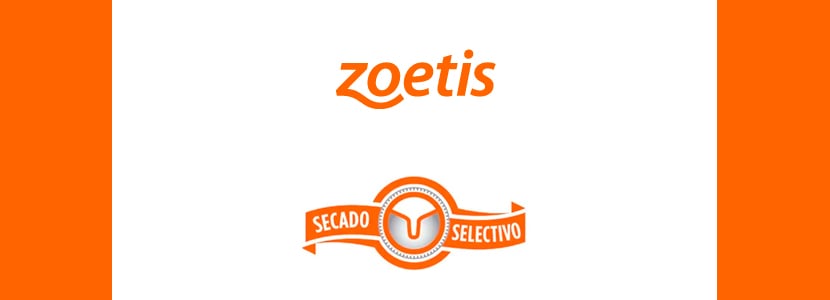 El Secado Selectivo de Zoetis permite una producción responsable