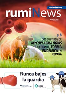 rumiNews marzo 2021