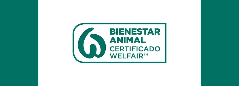 El sello de bienestar animal Welfair, uno de los proyectos más innovadores