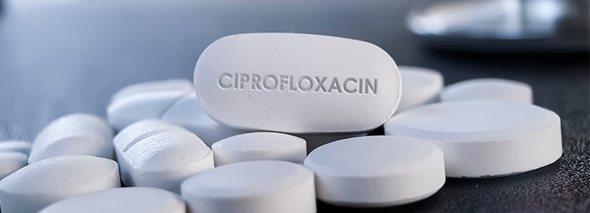 Salmonella, Campylobacter y la resistencia al ciprofloxacino