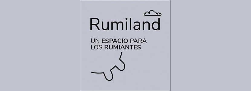 El programa voluntario de prevención, control y erradicación de la IBR en Rumiland