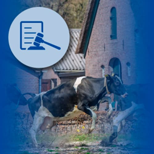 Legislación europea sobre Bienestar Animal