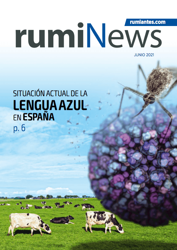 rumiNews junio 2021