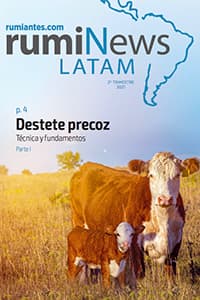 rumiNews LATAM 2º Trimestre 2021