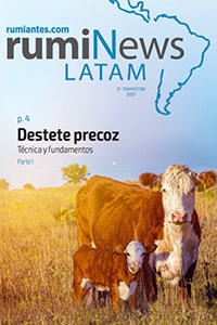 rumiNews LATAM 2º Trimestre 2021