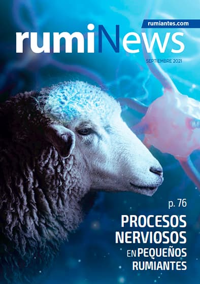 rumiNews septiembre 2021