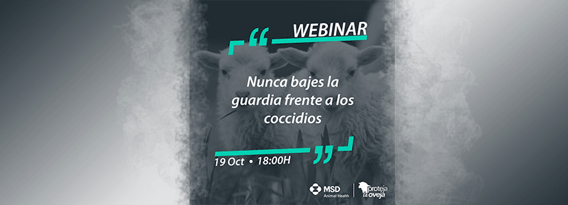 Nunca bajes la guardia frente a los coccidios-Webinar de MSD Animal Health el 19 octubre