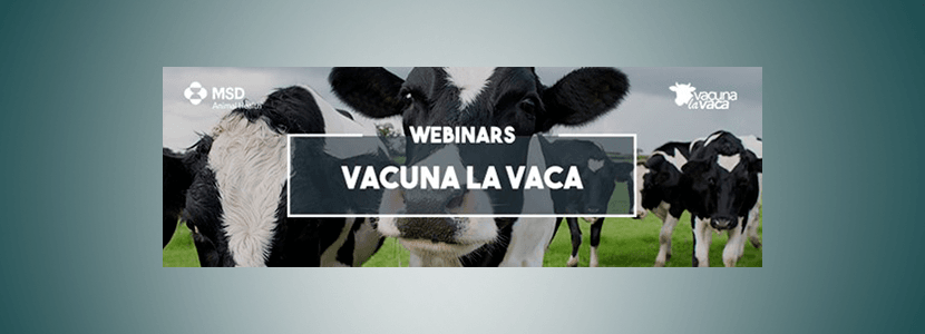 ¿Cómo afecta la nueva normativa del medicamento al sector vacuno lechero?