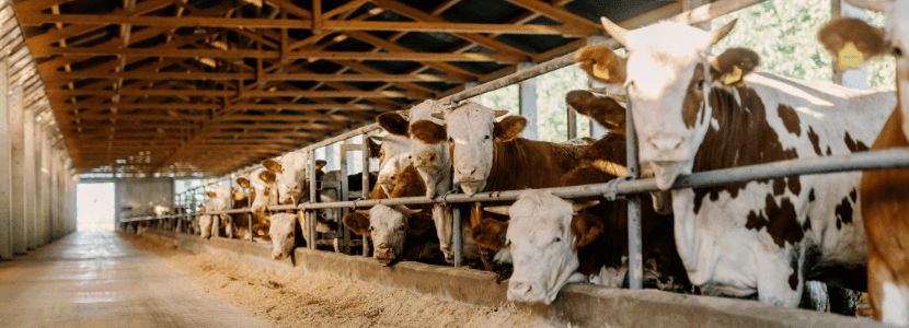 Se lanza consulta abierta sobre la estrategia Farm to Fork