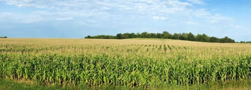 Flexibilización en la importación de materias primas