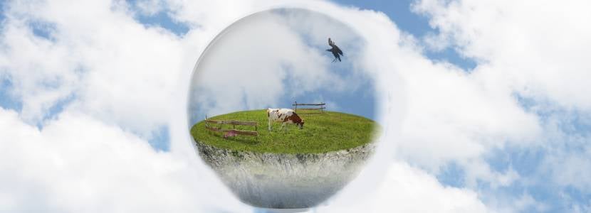 UE aprueba un aditivo alimentario para reducir el metano de las vacas