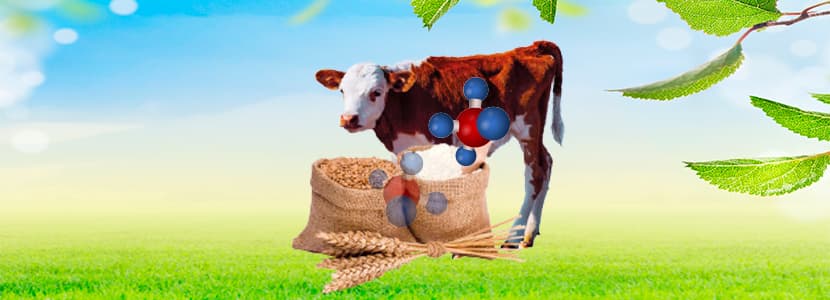 Eficiencia alimentaria en cebo de terneros según el modelo de alimentación F/C:10/90